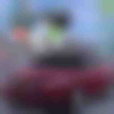 Pametno pokrivalo za vetrobransko steklo | CARCOVER