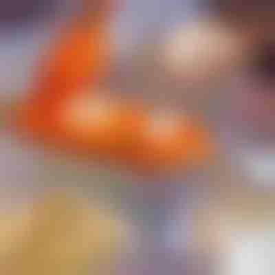 2v1 naprava za pripravo cmokov | DUMPLINGER