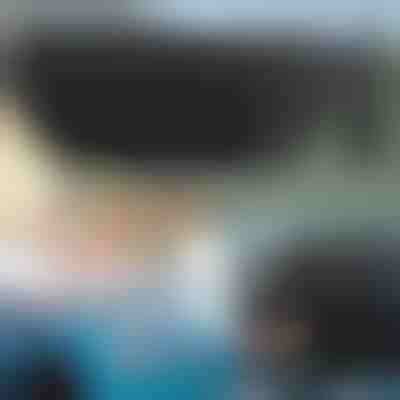 Zložljiv senčnik za vetrobransko steklo SHADESHELLA