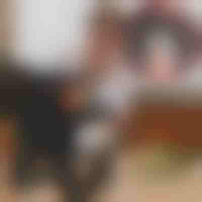 Vrtljivi organizator za začimbe | FERRISPICE