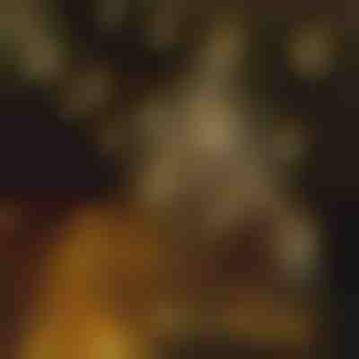 Zvezdaste dekorativne luči (6 m) | STARYGLOW