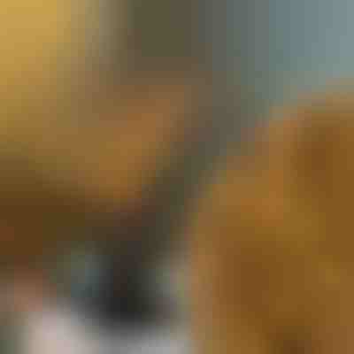 Dekorativne luči v obliki vej | BRANCHLUMOS