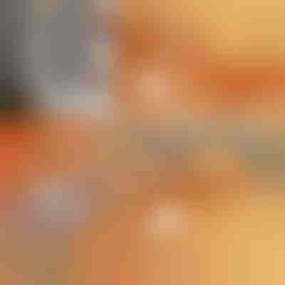 Zložljiv nosilec za stenske police (2 kosa) | FOLDBOARD