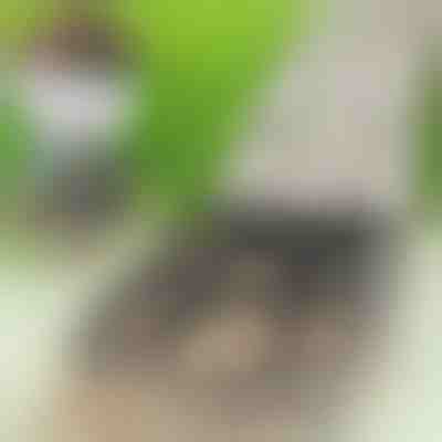 Kalup za vrtne steze | PAVESHAPE