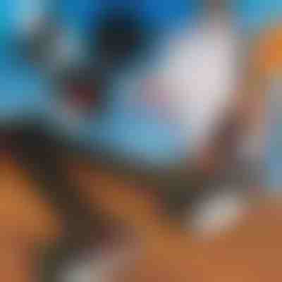 Nastavljiv trak za nošenje smuči na rami | SKITREK