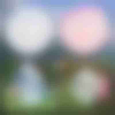 Neverjetna mehurčkasta žoga SLIMEBUB