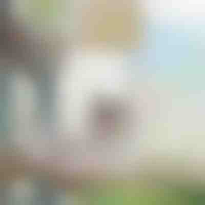 Viseča mreža za mačke in majhne pse | PURRPAD