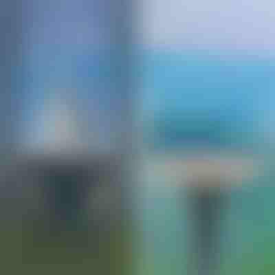 Ščetka za čiščenje oken 2 v 1 | DUSTREL