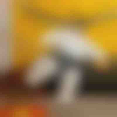 Napihljiv sumo kostum | SUMOCOS