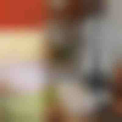 Ročni rezalnik zelenjave | CHOPSTER