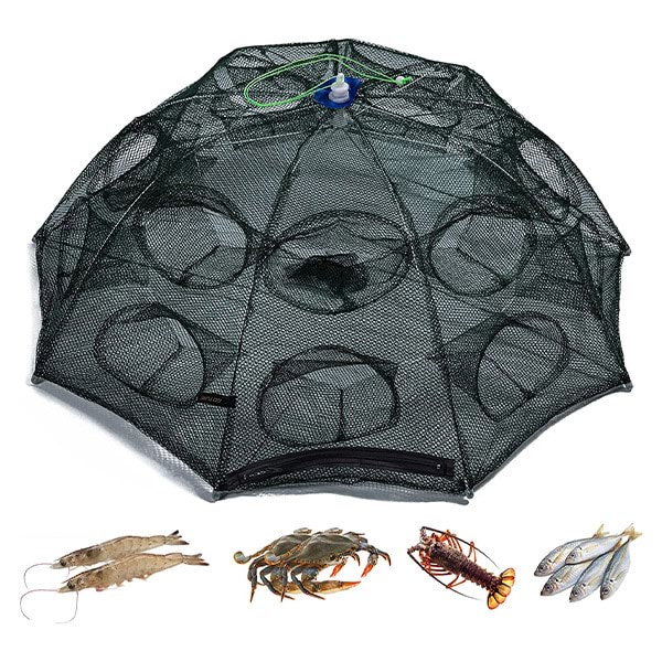 FISHTOR18100__892e214d