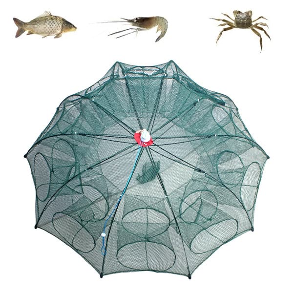 FISHTOR18300__6d8e7874