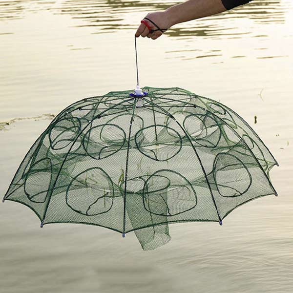 FISHTOR18400__6a315281