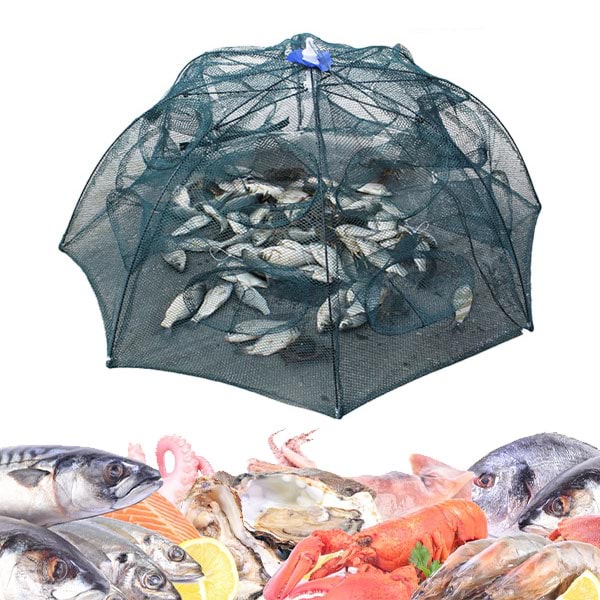 FISHTOR18500__e84a01df