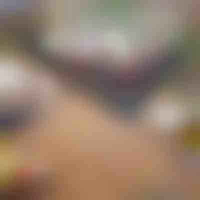 Zložljiv prenosni žar | GRILLOMATE