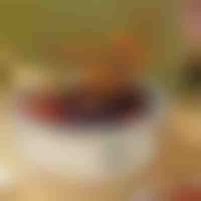 Prenosni žar | GRILLSTER