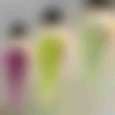 Dekorativna viseča rastlina | IVYORA