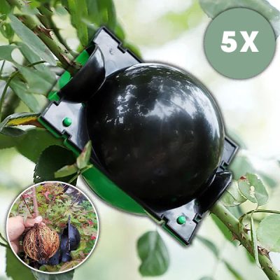 Posoda za razmnoževanje zdravih korenin  (5 kosov) | | ROOTY