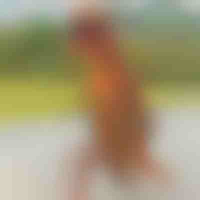 Napihljiv kostum dinozavra | TREXCOS