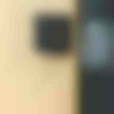 Samodejni zapiralec vrat | DORSIAL