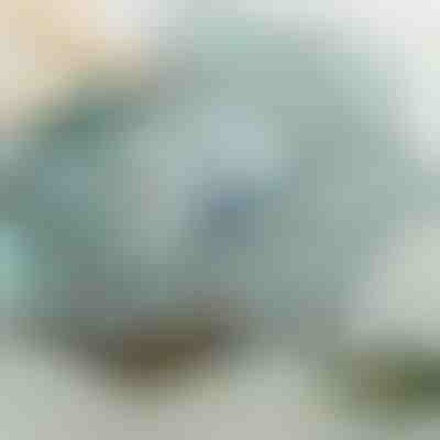 Zložljiva ribiška mreža | FISHTOR