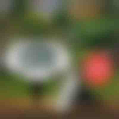 Solarne talne luči za zunanjo uporabo (12 kosi) | LUMIGARD 6+6 BREZPLAČNO