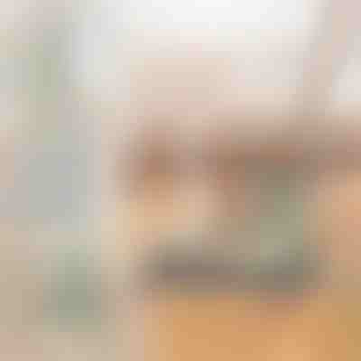 Metla za pometanje, ki strga in čisti | MAGISWEEP