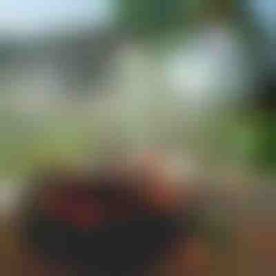 Zunanji hladilni sistem s pršenjem | MISTIKO