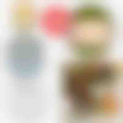 Držalo za cvetlice za osupljive aranžmaje (3 kosi) | VASEKA